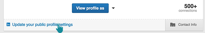 LinkedIn SEO Update your public profile settings